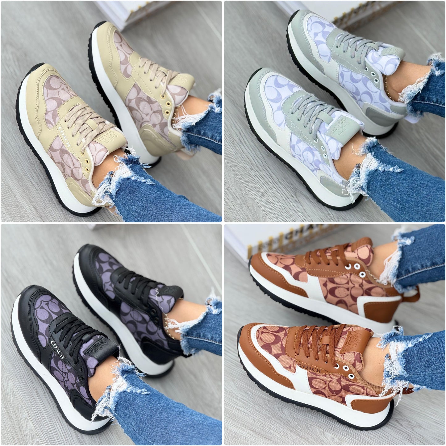 COACH DAMA - NUEVA COLECCIÓN